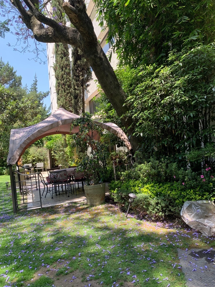 excelente--garden-house-en-las-lomas2-12250