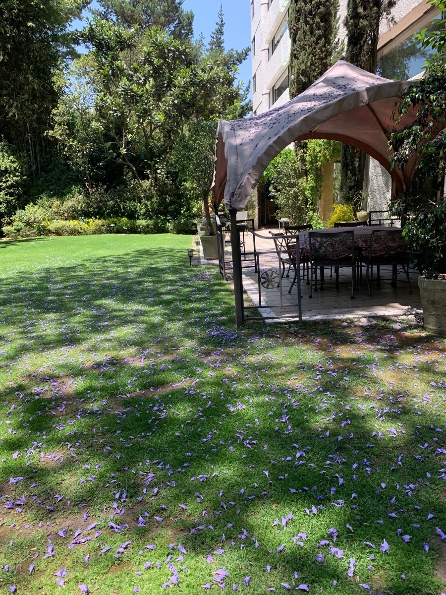 excelente--garden-house-en-las-lomas43-12250