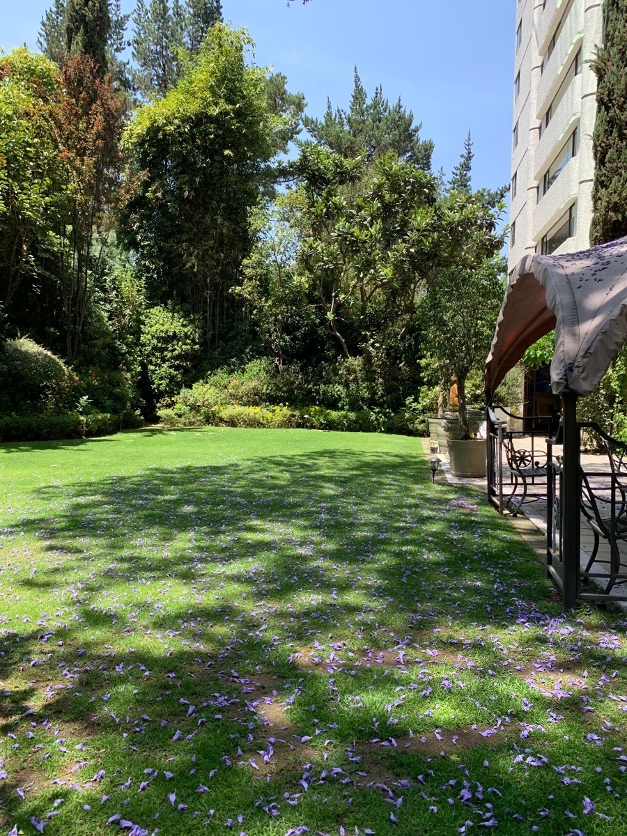 excelente--garden-house-en-las-lomas7-12250