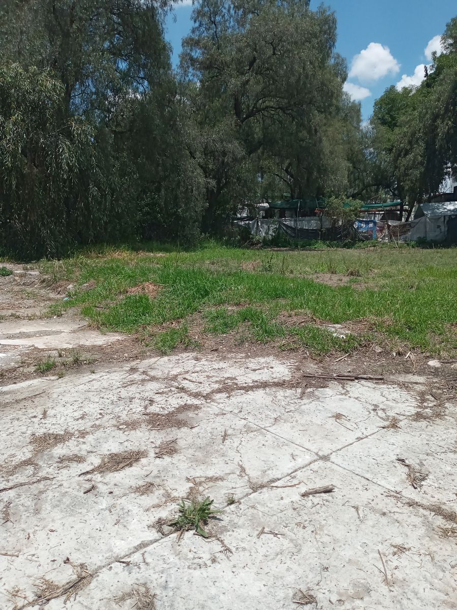excelente--terreno--en-renta19-15309