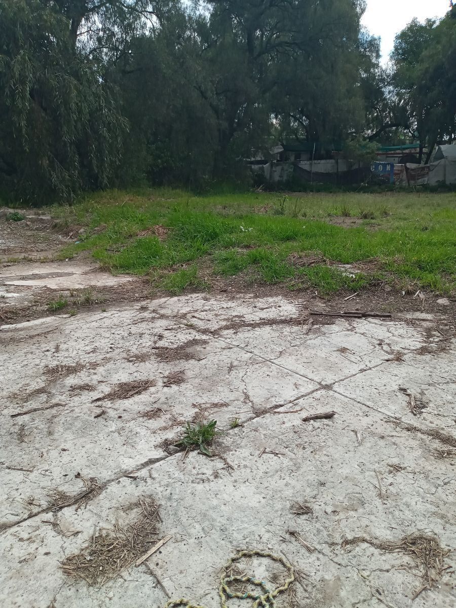 excelente--terreno--en-renta9-15309