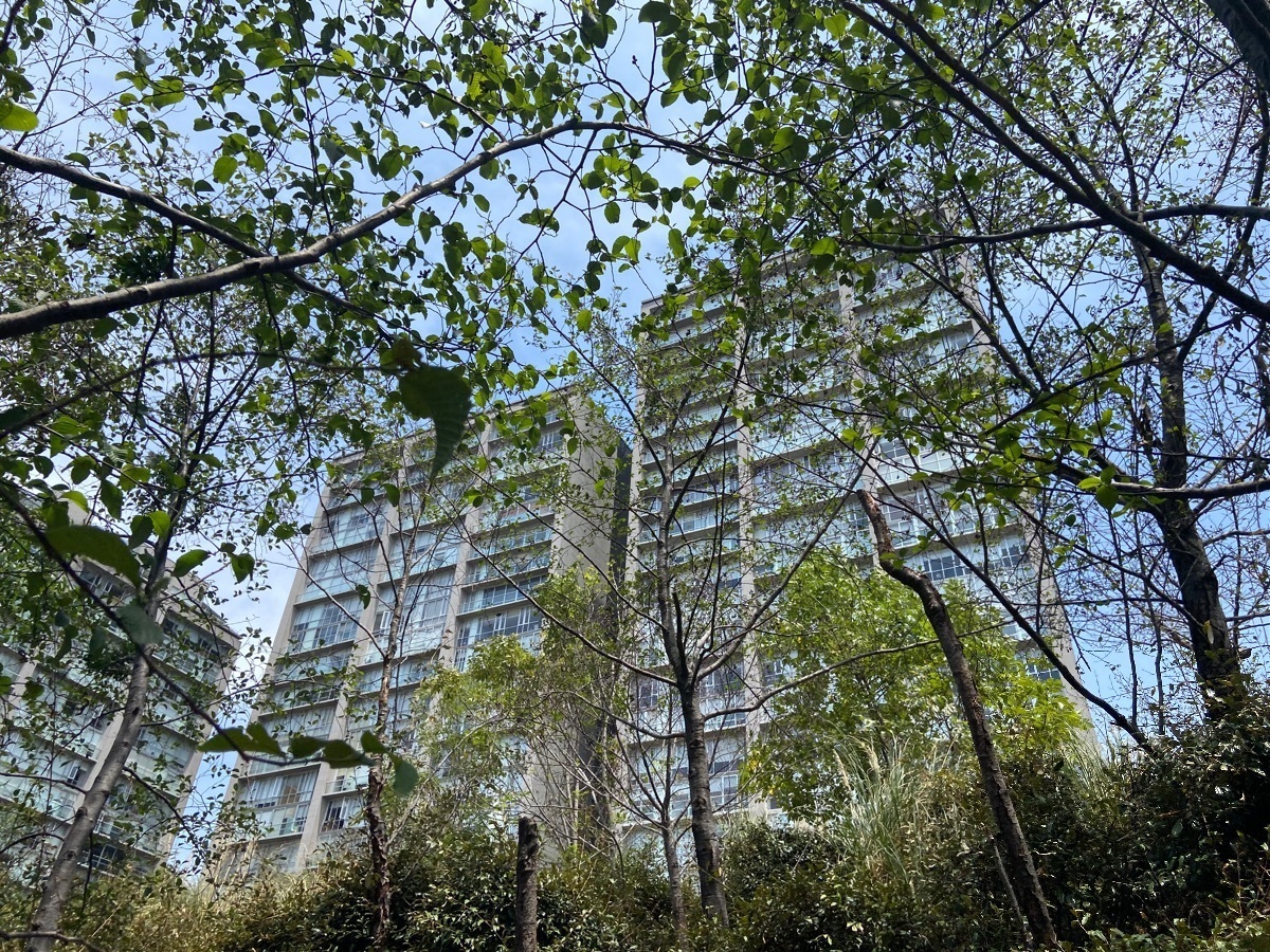 excelente-departamento-cerca-de-santa-fe47-27031