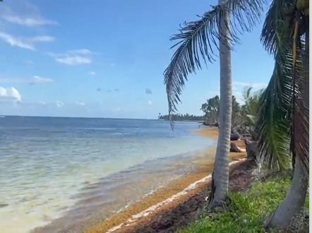 frente-playa--mahahual-rio-indio2-31213