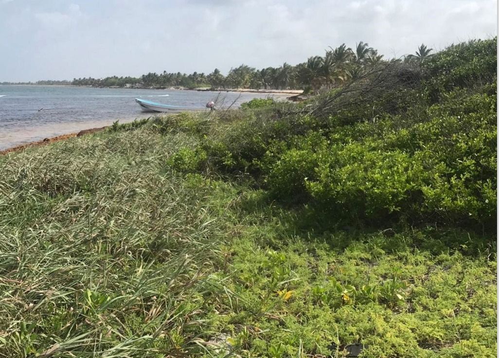 frente-playa--mahahual-rio-indio6-31213