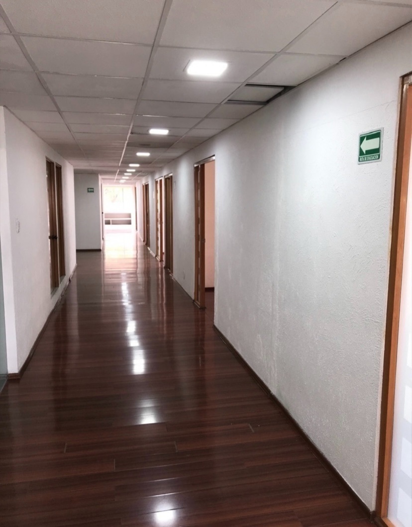 grandiosa-oficina-de-piso-completo-en-bosques-de-ciruelos2-12227