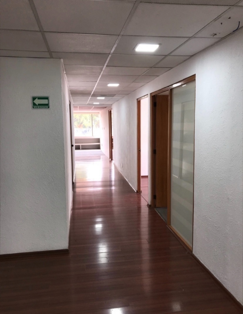grandiosa-oficina-de-piso-completo-en-bosques-de-ciruelos21-12227