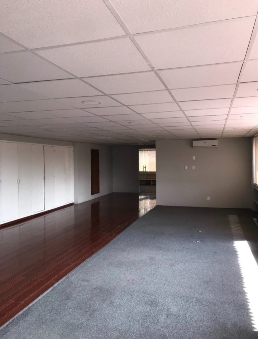 grandiosa-oficina-de-piso-completo-en-bosques-de-ciruelos4-12227