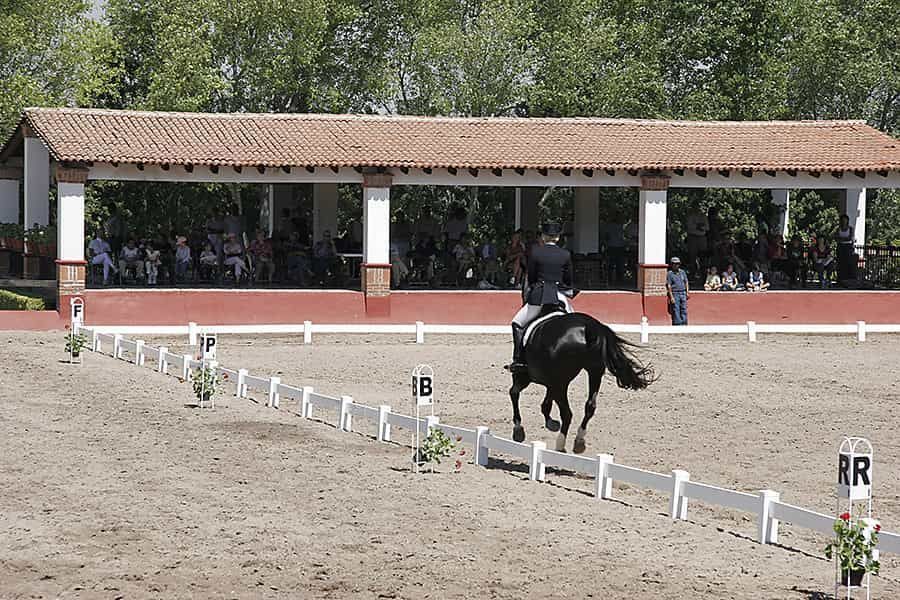 hacienda-mirador-equestrian-en-venta-fracc-el-mirador-en-san-miguel-de-allende18-13110