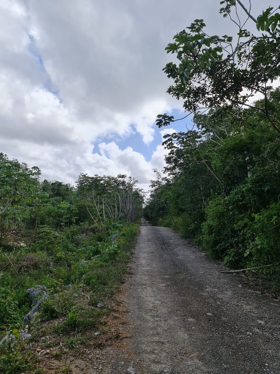 hectreas-en-venta-en-francisco-uh-may5-29895