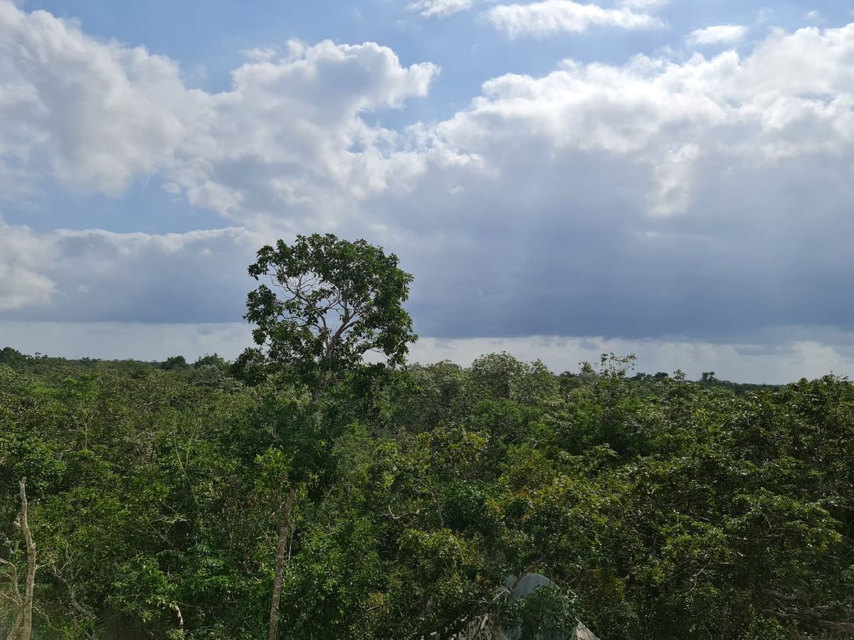 hectreas-en-venta-en-francisco-uh-may7-29895