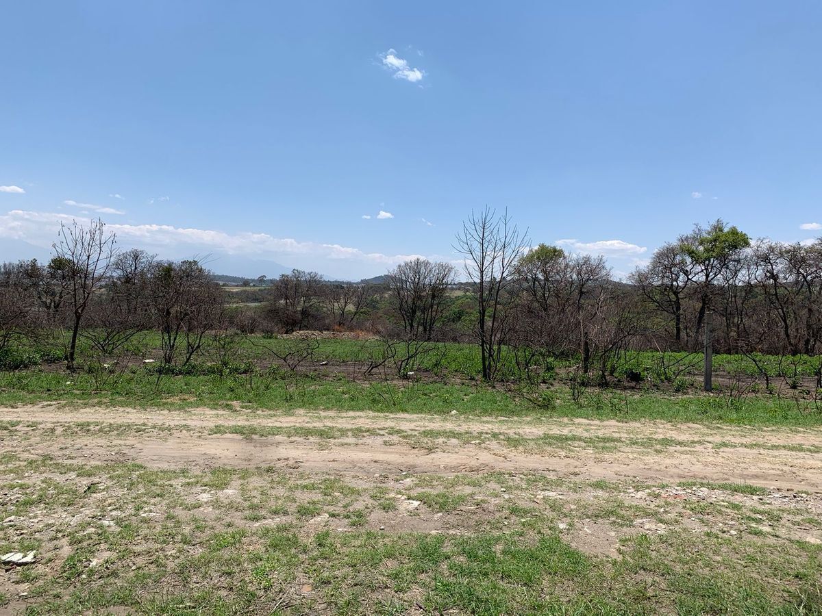 hermoso-terreno-en-haras13-25150