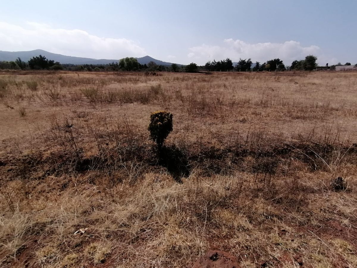 huasca-vende-terreno-en-pueblo-magico6-21203