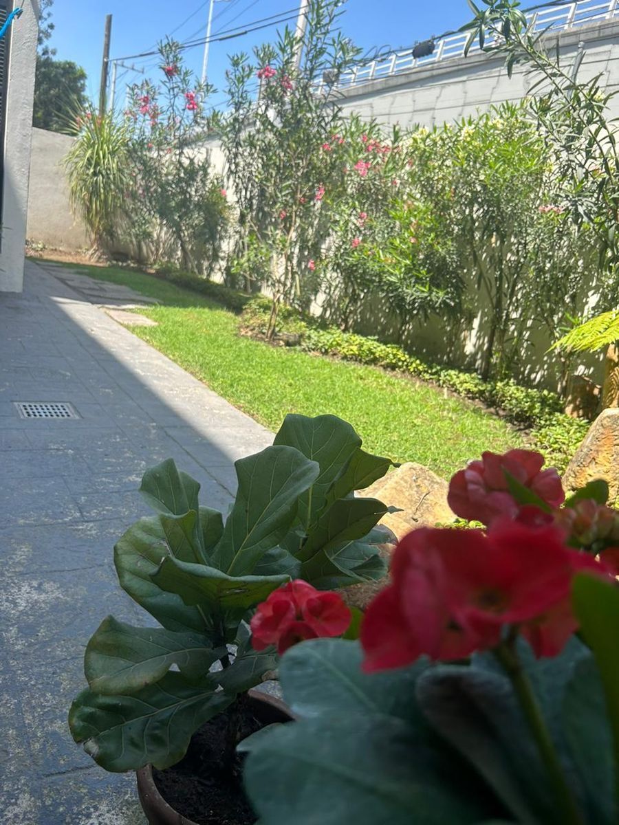 lindo-depa-con-caractersticas-de-casa-de-una-planta7-28074
