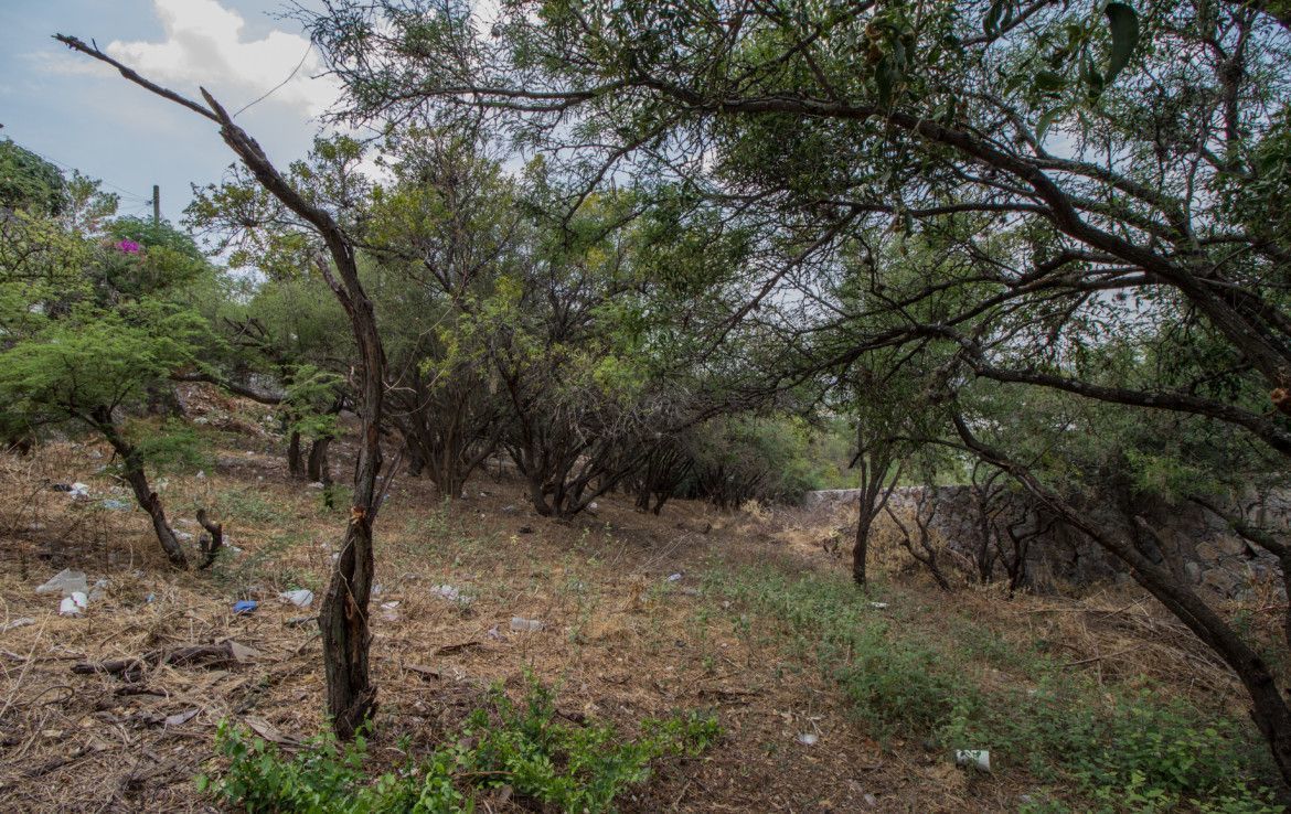 lote-moctezuma-en-venta-col-azteca-en-san-miguel-de-allende9-13130