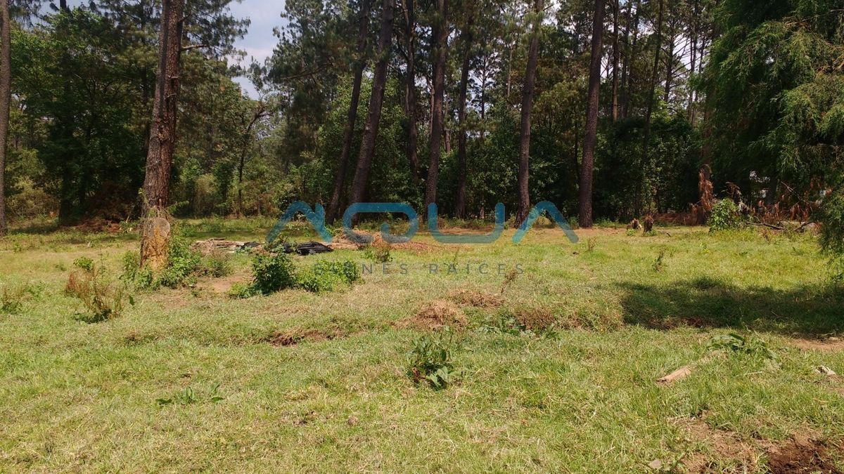 lotes-desde-1000-m2-a-escasos-minutos-de-avandaro4-31049