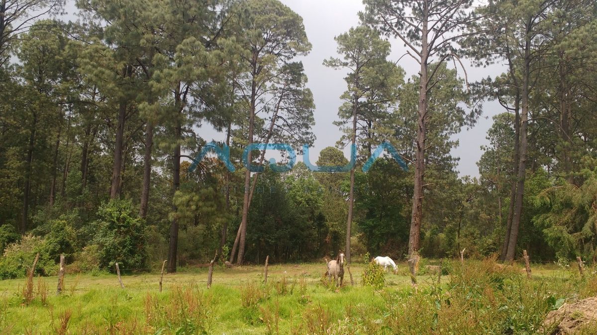 lotes-desde-1000-m2-a-escasos-minutos-de-avandaro6-31049