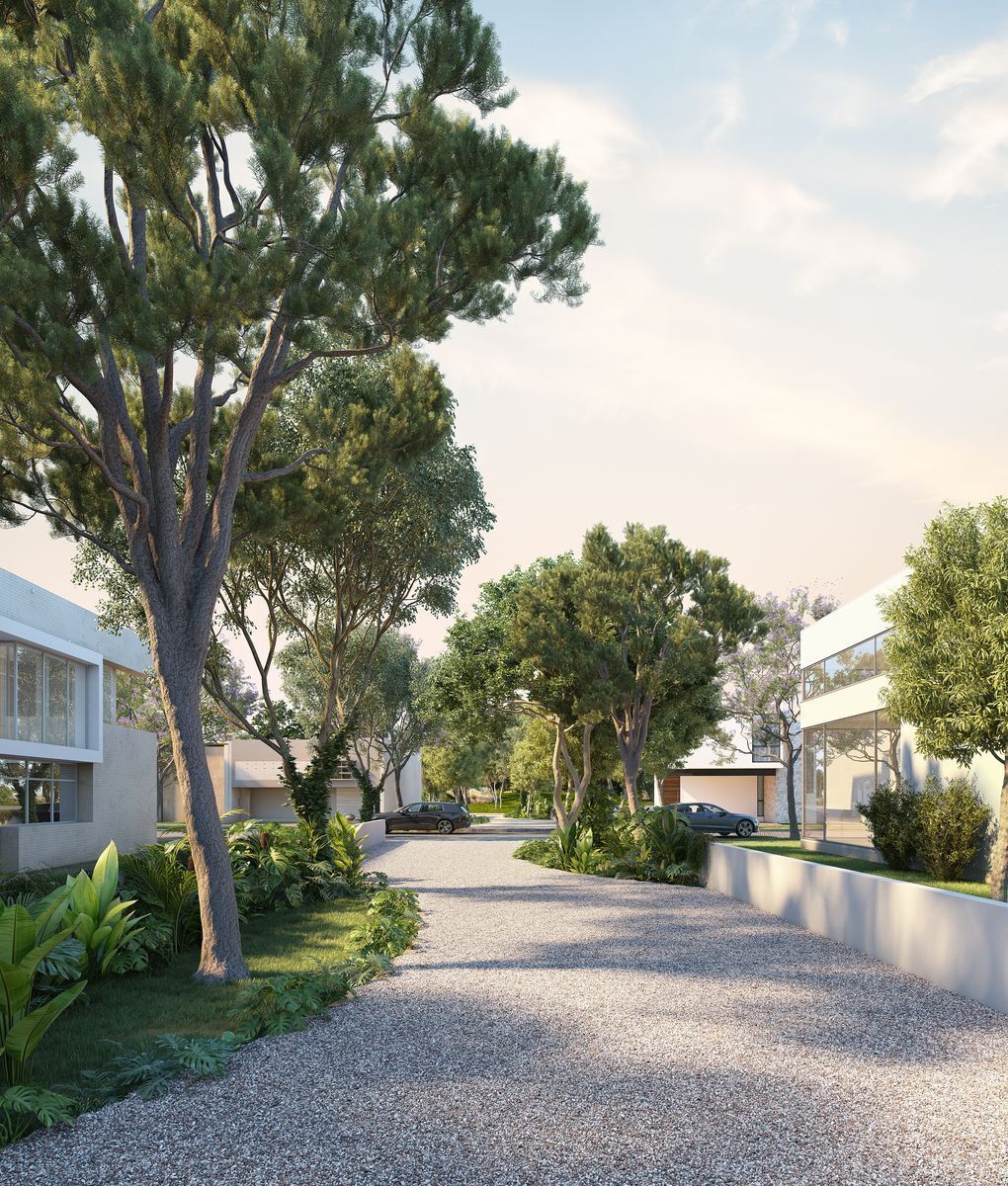 lotes-residenciales-en-venta-en-cabo-norte3-36598