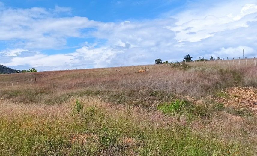 magnifico-terreno-en-el-taray-carretera-colotlan2-23553