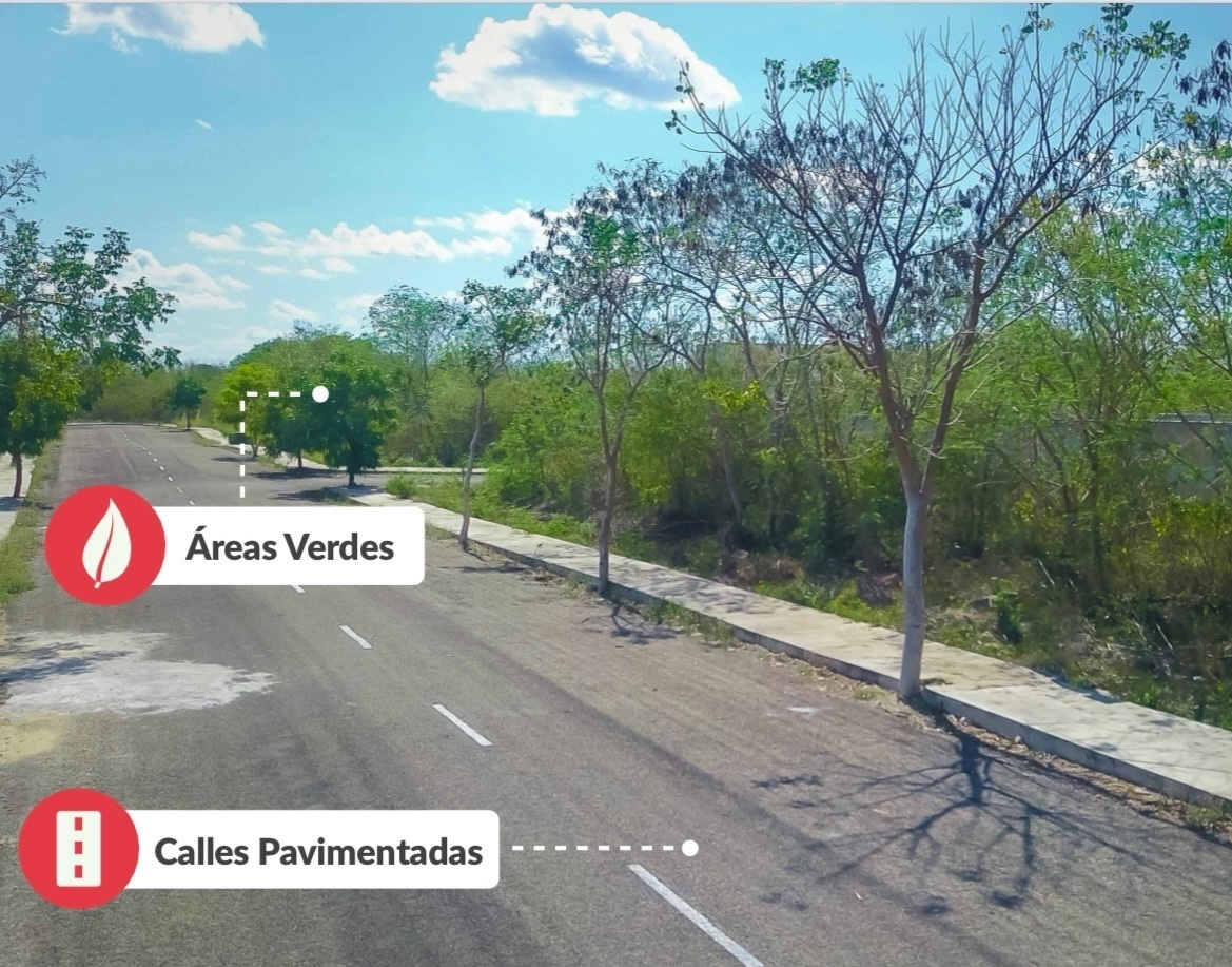 nolo-yucatn4-27364