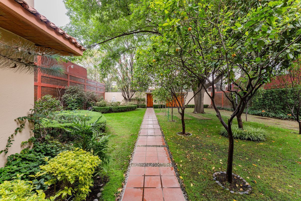 oficina-en-renta-coyoacan-san-pedro3-37425