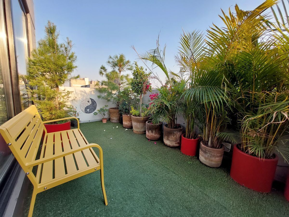 pent-house-en-la-roma-norte4-29291