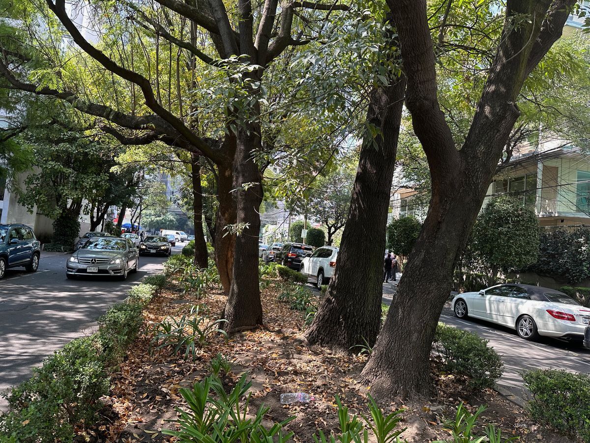 polanco-oficina-en-renta3-25635