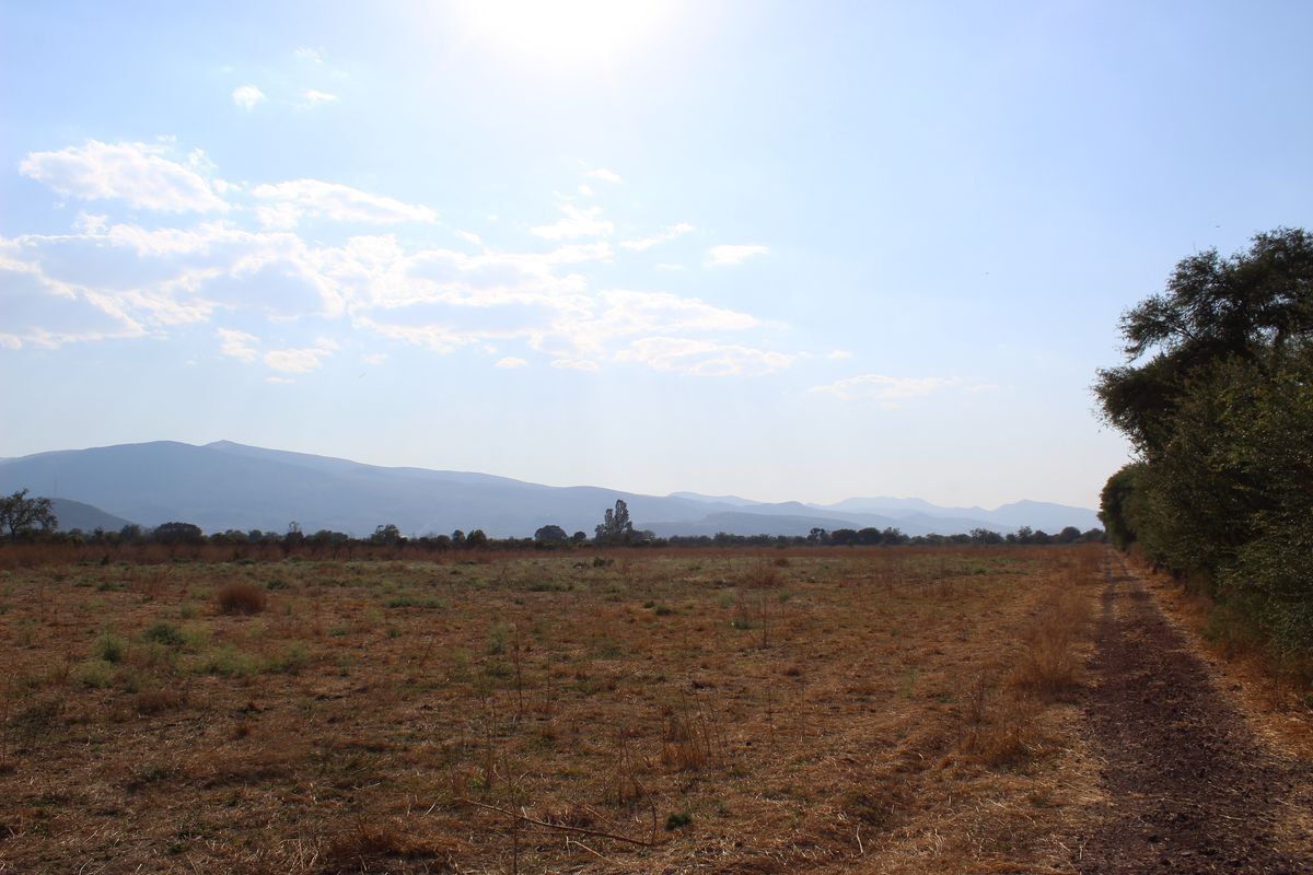rancho-agricola-en-zacoalco-de-torres-jalisco14-23004