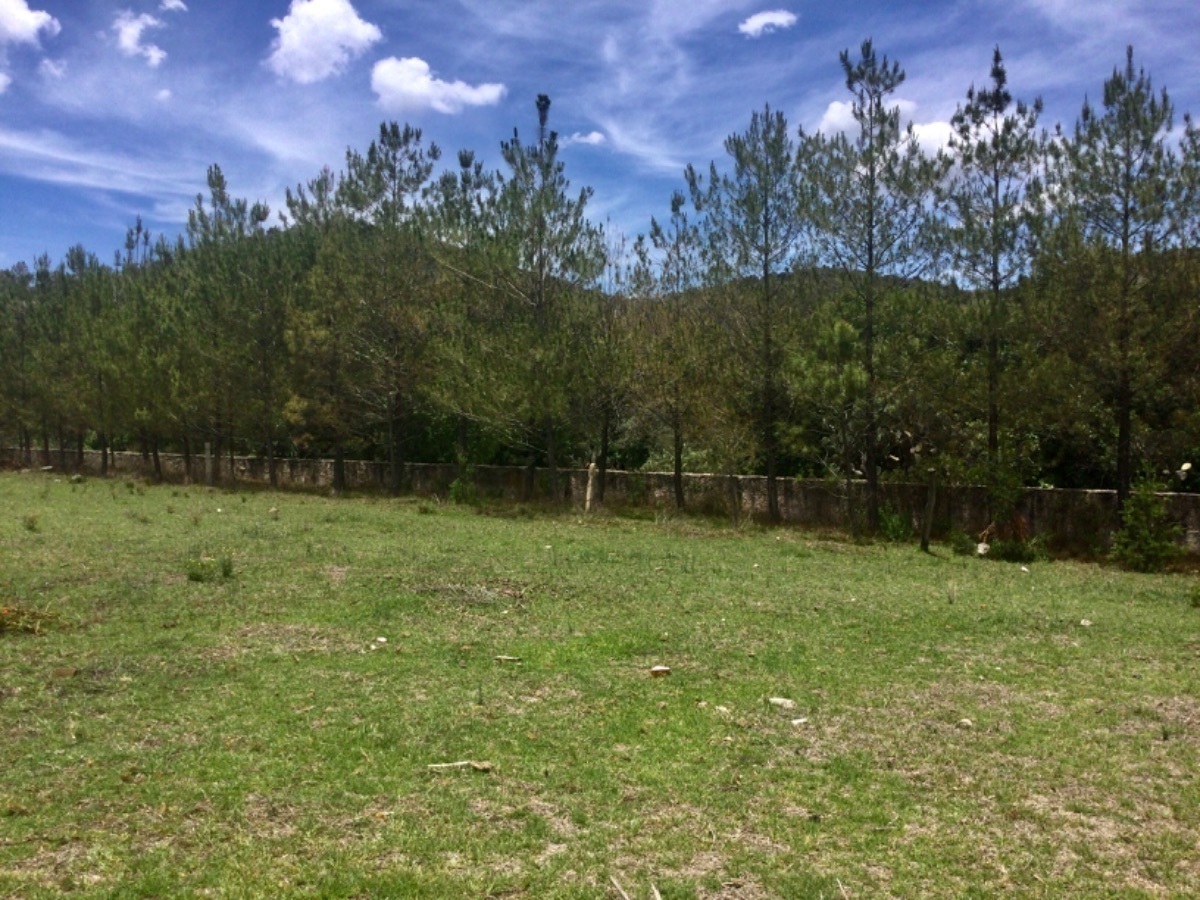 rancho-en-venta-a-5min-del-centro-de-aculco-estado-de-mxico14-26218