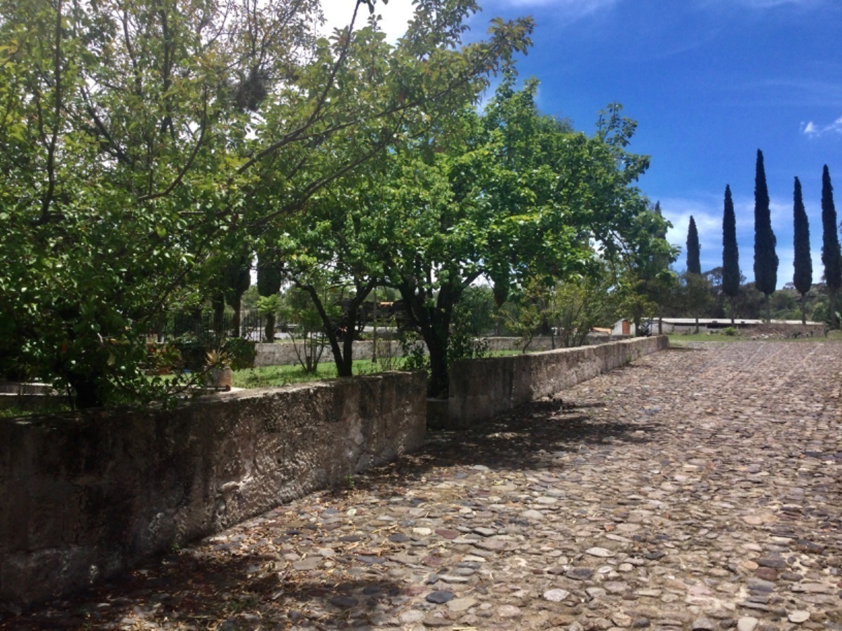 rancho-en-venta-a-5min-del-centro-de-aculco-estado-de-mxico15-26218