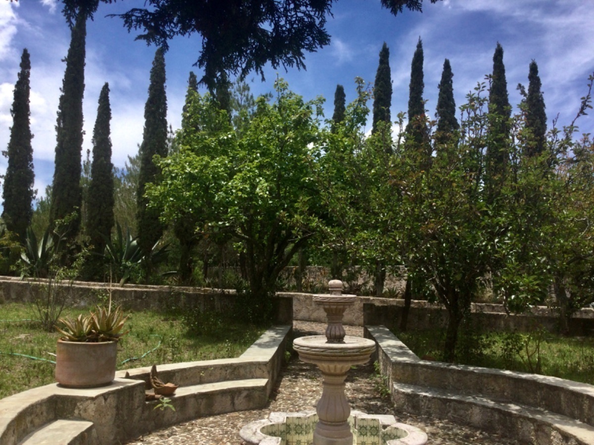 rancho-en-venta-a-5min-del-centro-de-aculco-estado-de-mxico5-26218