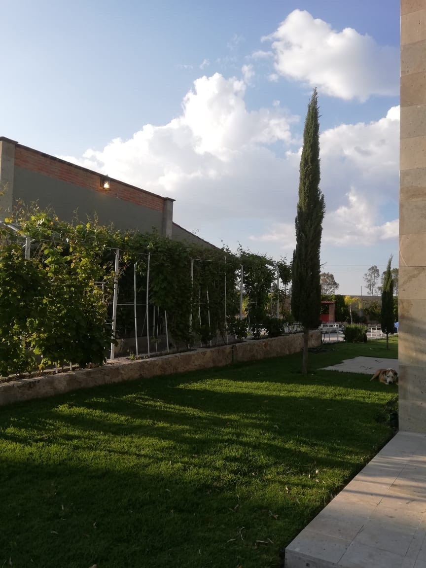 rancho-en-venta-en-polotitln-estado-de-mxico22-11741
