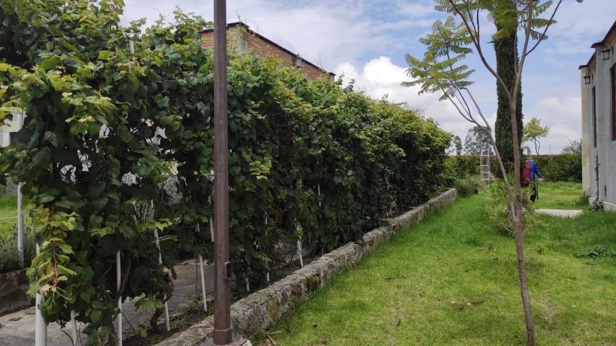 rancho-en-venta-en-polotitln-estado-de-mxico30-11741