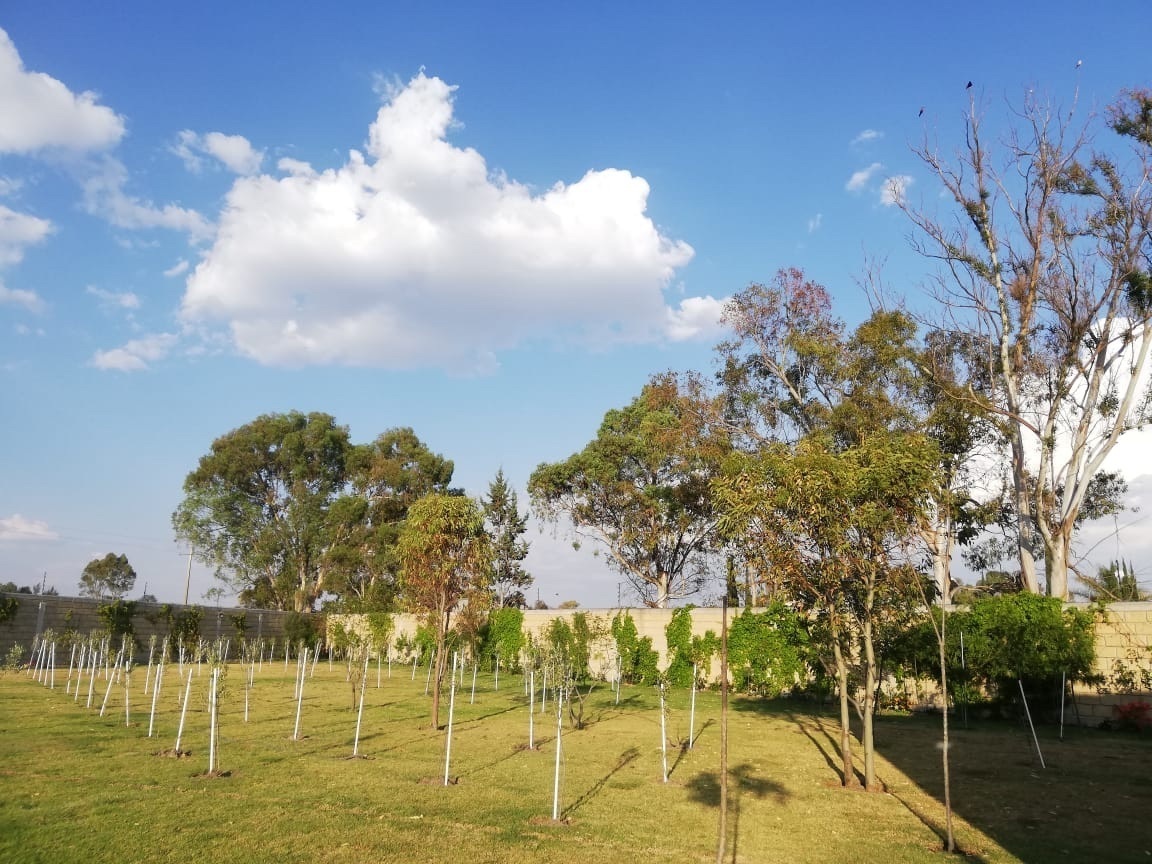 rancho-en-venta-en-polotitln-estado-de-mxico36-11741