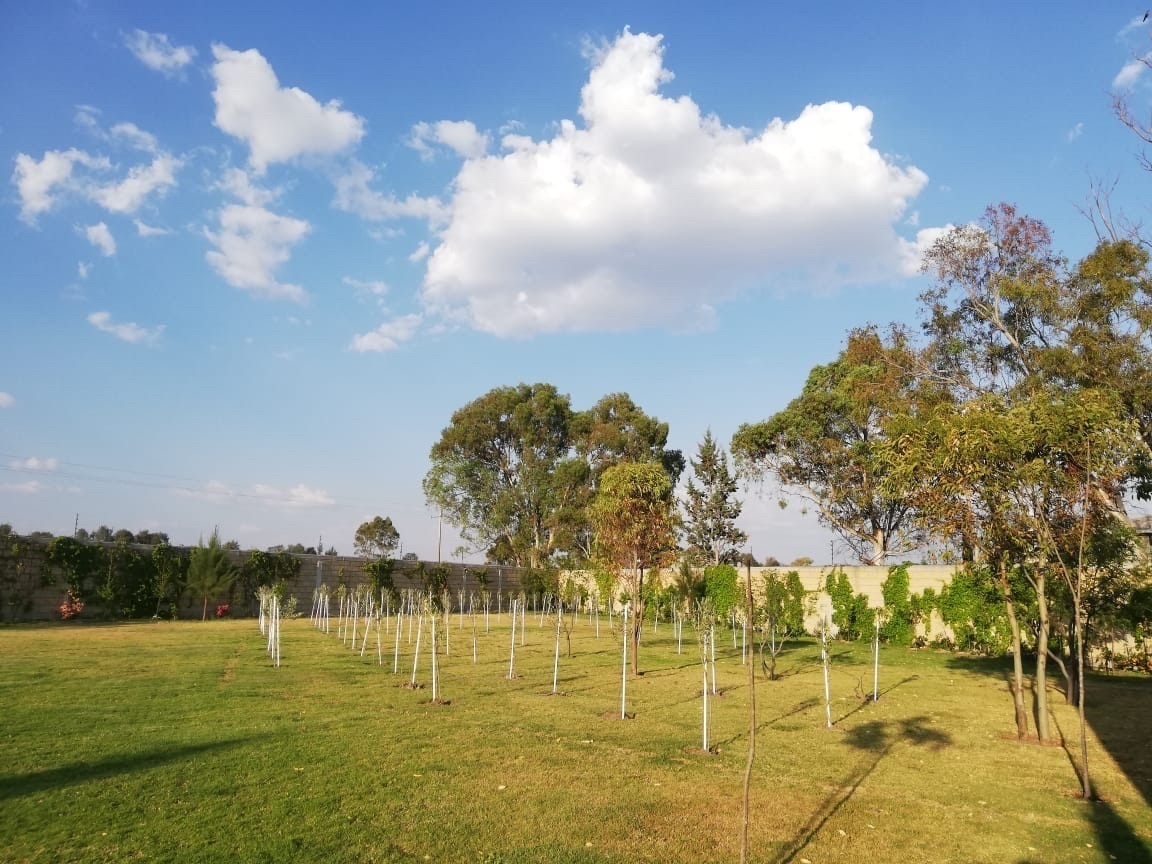 rancho-en-venta-en-polotitln-estado-de-mxico37-11741