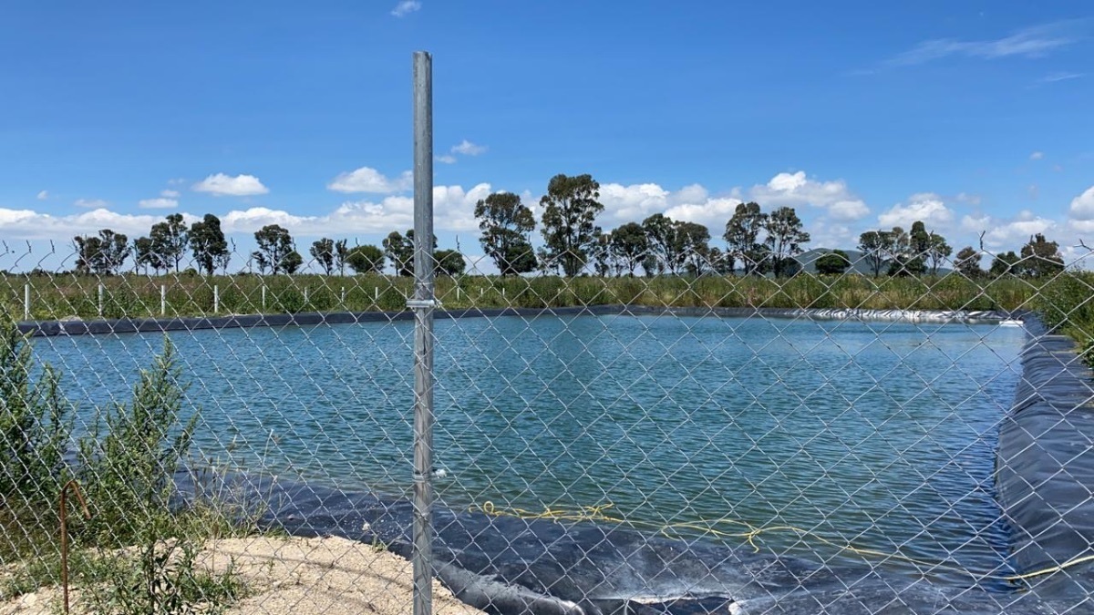 rancho-en-venta-en-polotitln-estado-de-mxico39-11741