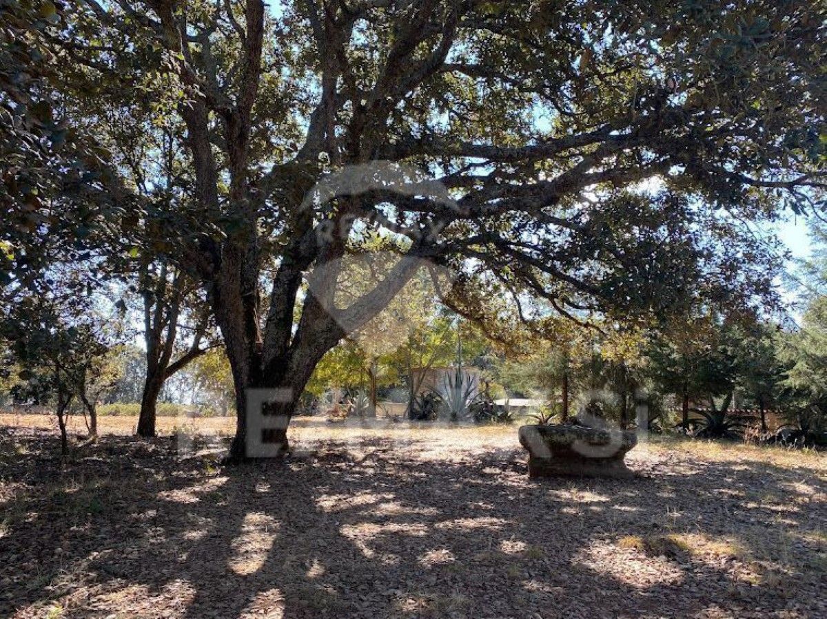 rancho-venta-amealco13-11402