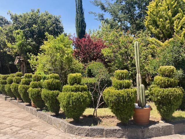 renta-casa--tipo-loft-san-jeronimo-magdalena-contreras4-35522