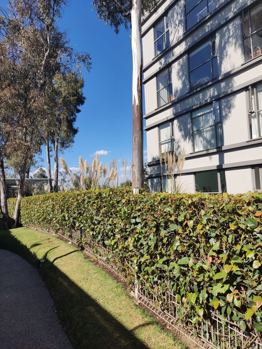 renta-de-departamento-en-be-grand-lomas10-35259