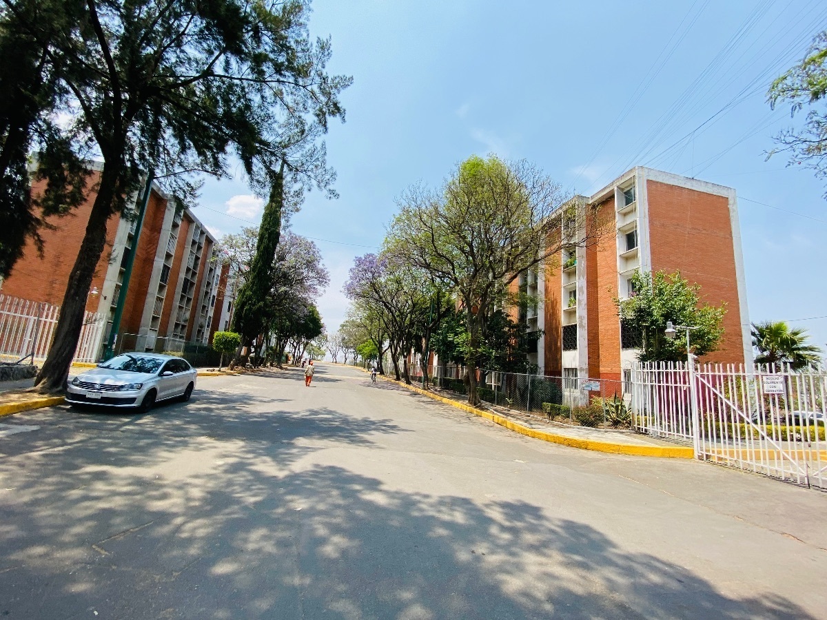 renta-de-departamento-en-fuentes-brotantes--semiamueblado5-34817