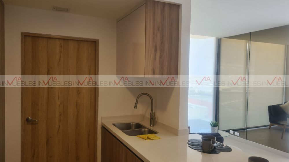 renta-departamento-distrito-domo-1-en-santa-catarina2-35784