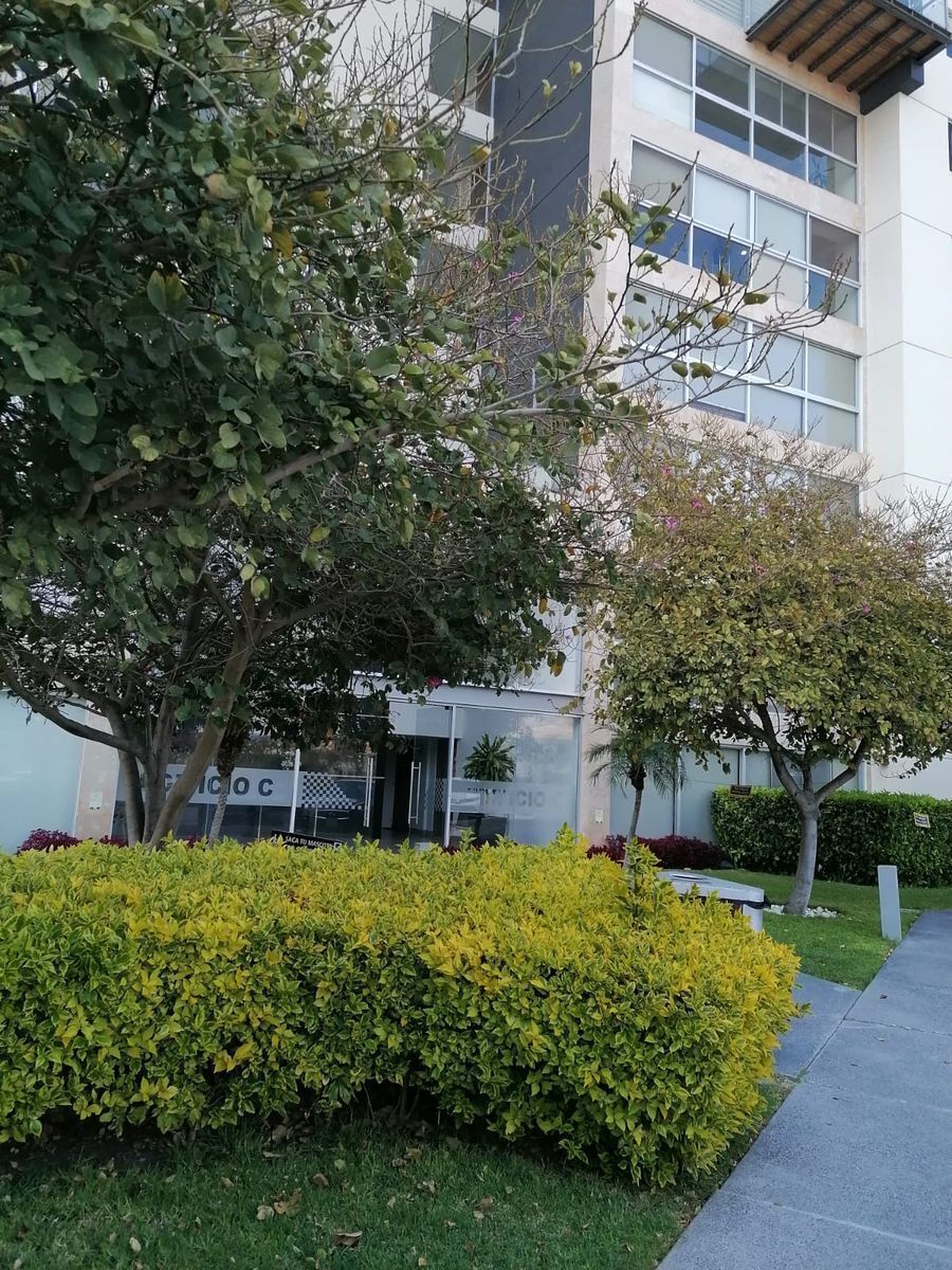 renta-departamento-en-habitarea36-33674