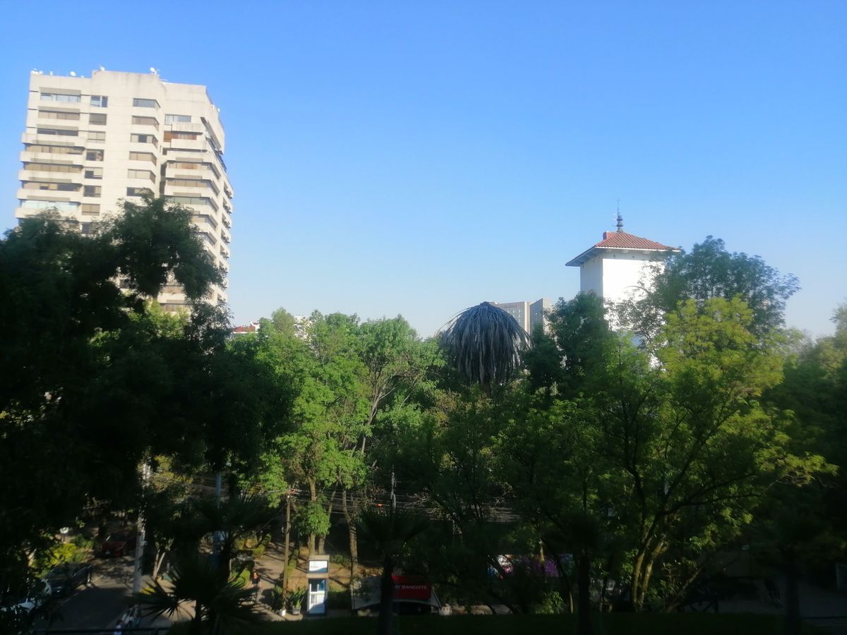 renta-departamento-en-polanco-frente-a-parque-lincoln-parque-del-reloj3-25824