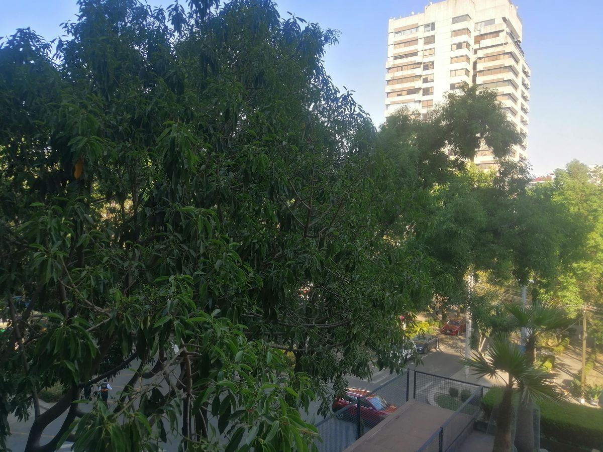 renta-departamento-en-polanco-frente-a-parque-lincoln-parque-del-reloj5-25824