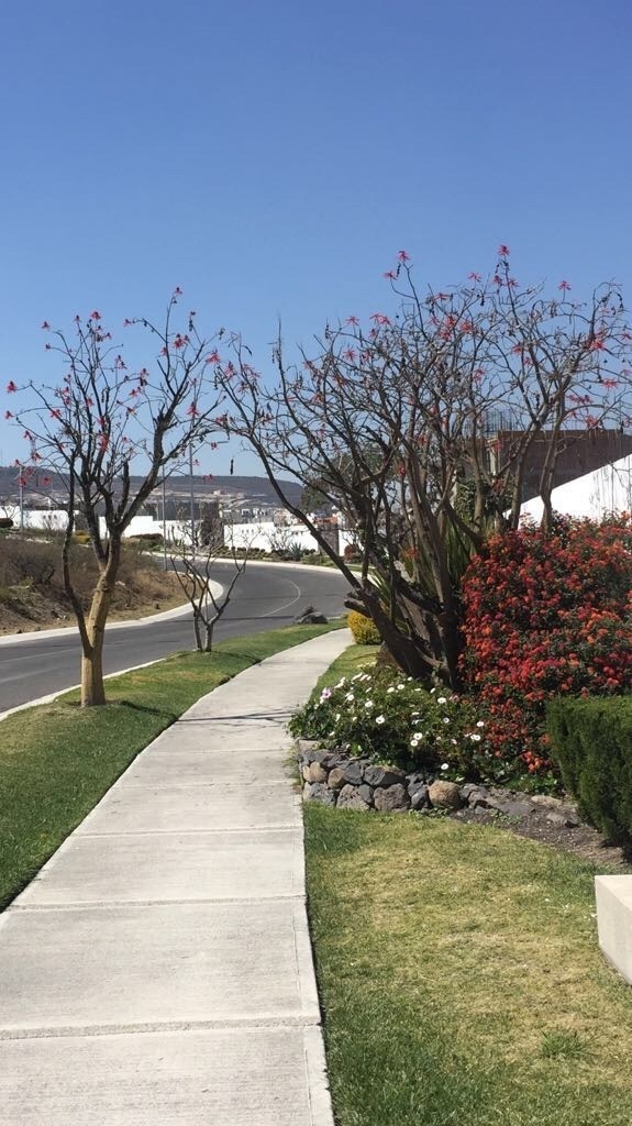 renta-departamento-zibata-amueblado-con-vista-al-golf17-24288