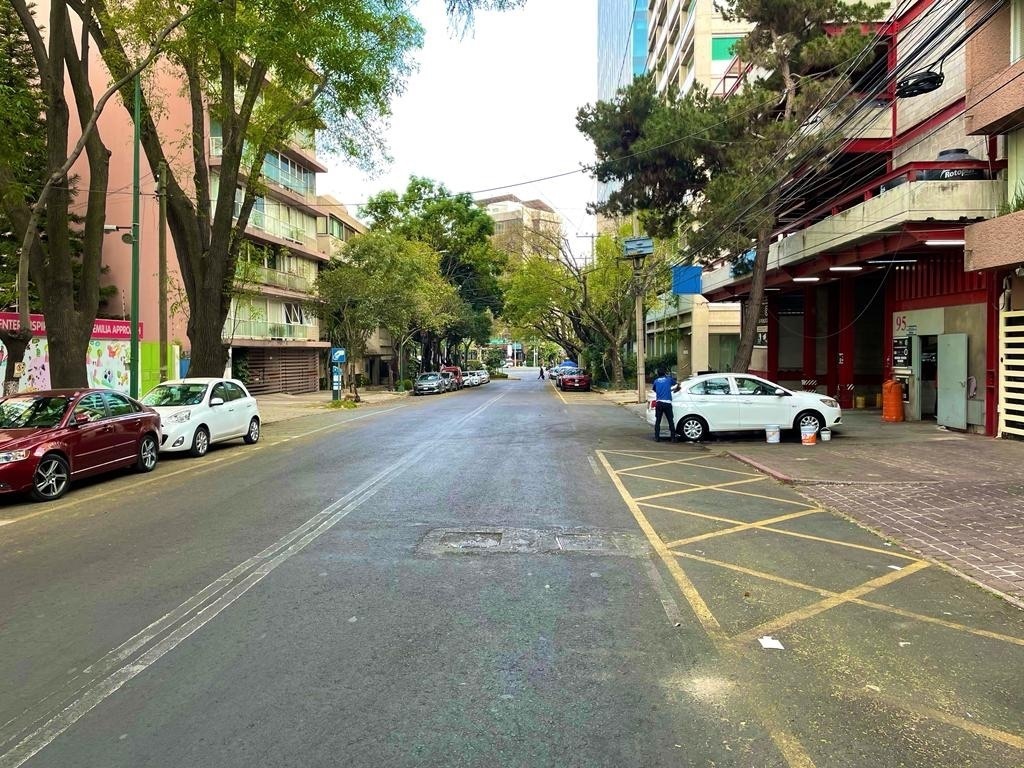 renta-depto-en-san-jos-insurgentes17-28702