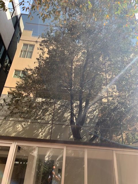 renta-edificio-para-oficinas--local-en-insurgentes-mixcoac22-30945