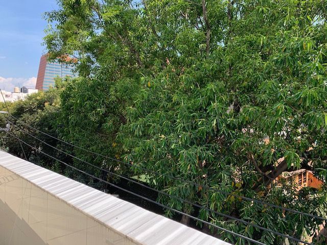 renta-edificio-para-oficinas--local-en-insurgentes-mixcoac43-30945