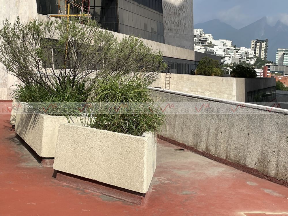 renta-oficina-losoles-en-san-pedro-garza-garca6-35726