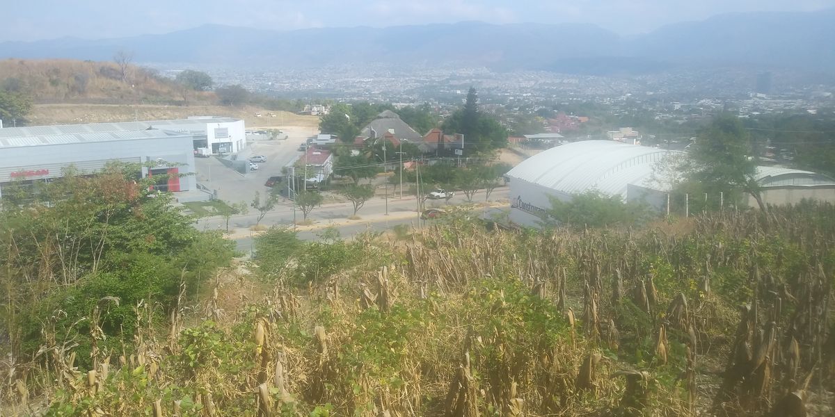 se-vende-1-ha-de-terreno-sobre-el-libramiento-sur-oriente3-19134