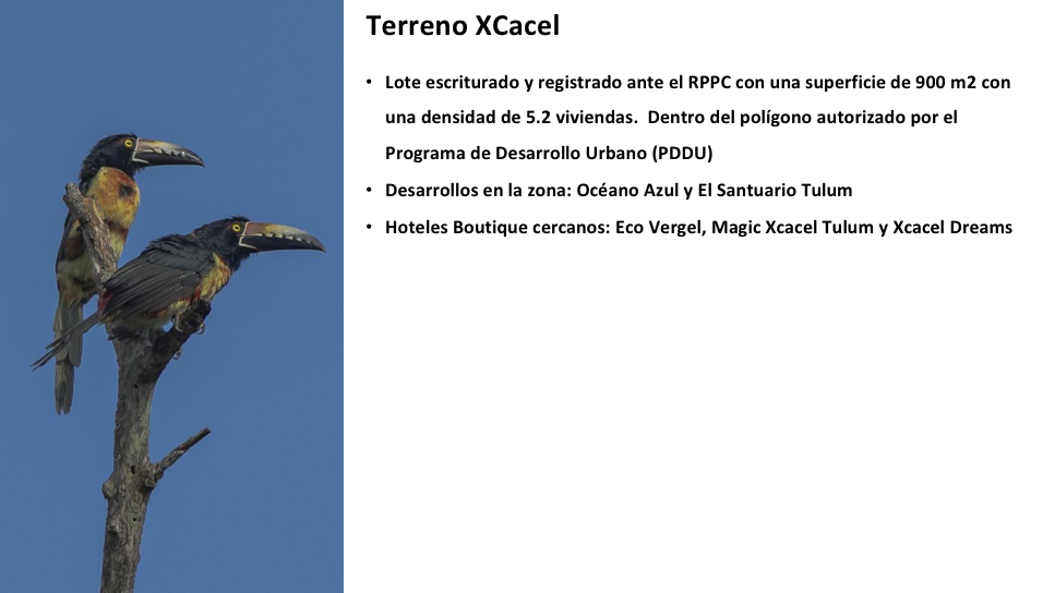 se-vende-excelente-terreno-en-xcacel--riviera-maya2-24996